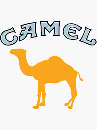 camel